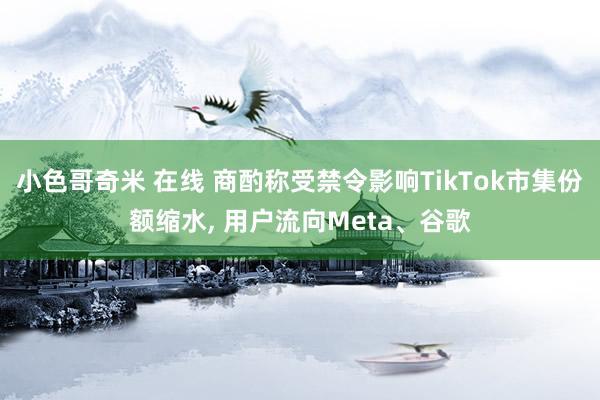 小色哥奇米 在线 商酌称受禁令影响TikTok市集份额缩水， 用户流向Meta、谷歌