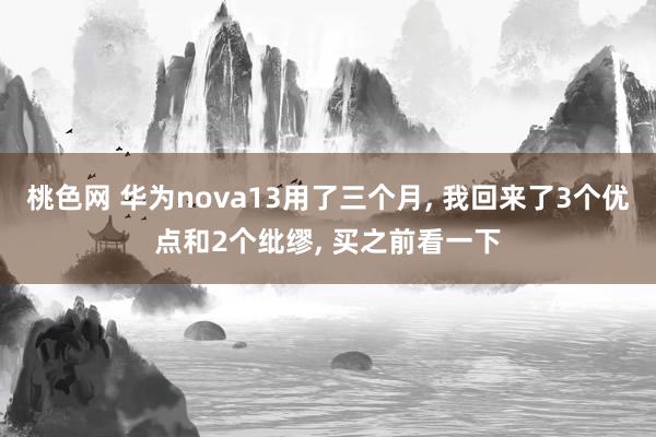 桃色网 华为nova13用了三个月， 我回来了3个优点和2个纰缪， 买之前看一下
