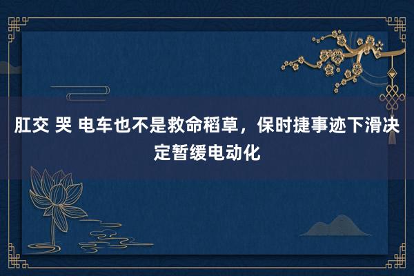 肛交 哭 电车也不是救命稻草，保时捷事迹下滑决定暂缓电动化