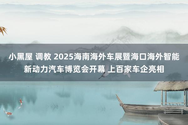 小黑屋 调教 2025海南海外车展暨海口海外智能新动力汽车博览会开幕 上百家车企亮相