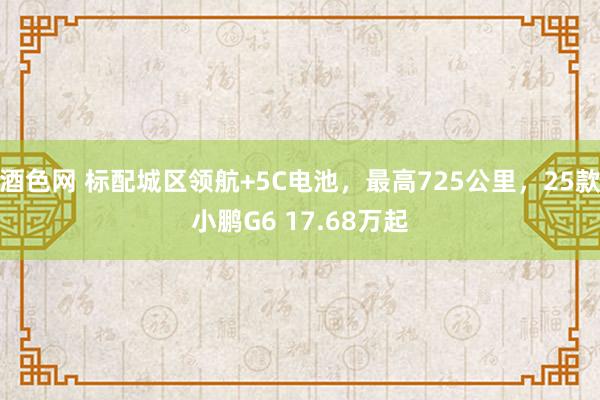 酒色网 标配城区领航+5C电池，最高725公里，25款小鹏G6 17.68万起