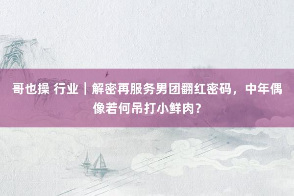 哥也操 行业｜解密再服务男团翻红密码，中年偶像若何吊打小鲜肉？