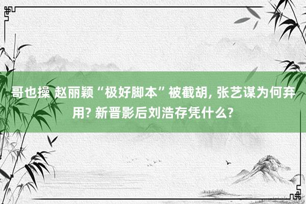 哥也操 赵丽颖“极好脚本”被截胡， 张艺谋为何弃用? 新晋影后刘浩存凭什么?