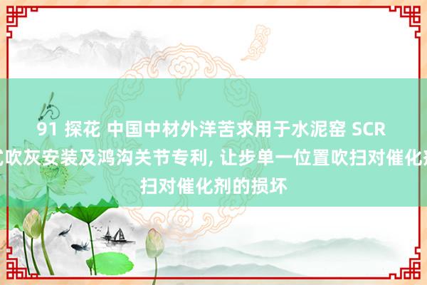 91 探花 中国中材外洋苦求用于水泥窑 SCR 系统耙式吹灰安装及鸿沟关节专利， 让步单一位置吹扫对催化剂的损坏