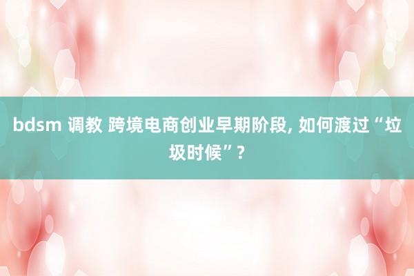 bdsm 调教 跨境电商创业早期阶段， 如何渡过“垃圾时候”?