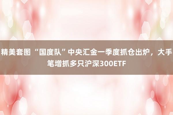 精美套图 “国度队”中央汇金一季度抓仓出炉，大手笔增抓多只沪深300ETF