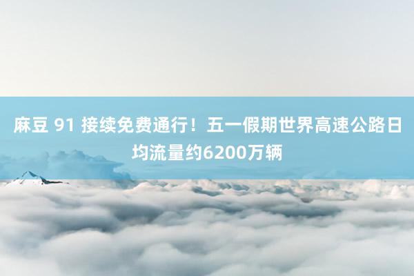 麻豆 91 接续免费通行！五一假期世界高速公路日均流量约6200万辆