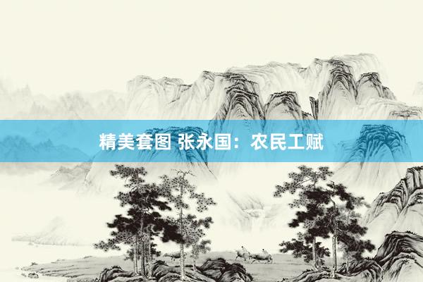 精美套图 张永国：农民工赋