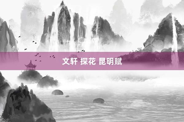 文轩 探花 昆明赋