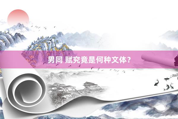 男同 赋究竟是何种文体？