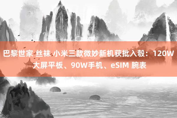 巴黎世家 丝袜 小米三款微妙新机获批入彀：120W 大屏平板、90W手机、eSIM 腕表