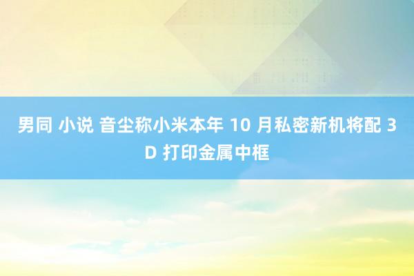 男同 小说 音尘称小米本年 10 月私密新机将配 3D 打印金属中框
