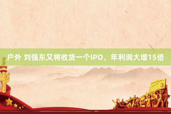 户外 刘强东又将收货一个IPO，年利润大增15倍
